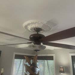 60” Fan 