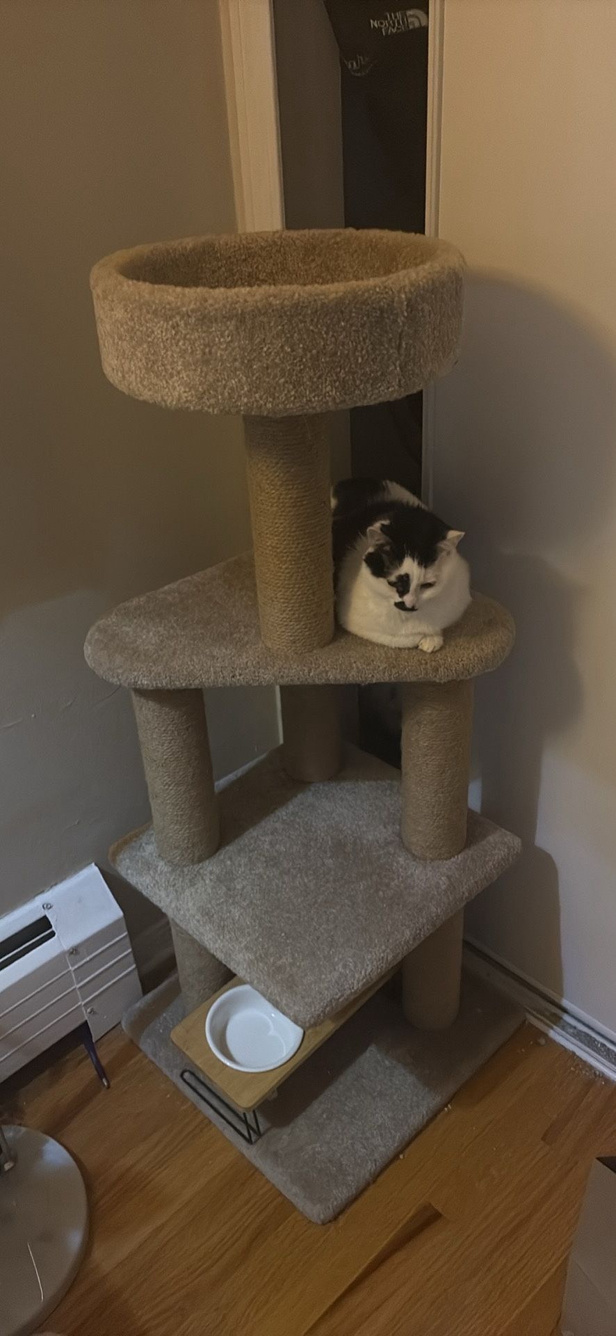 Cat Tree