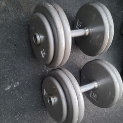 50lbs Dumbells Weights
