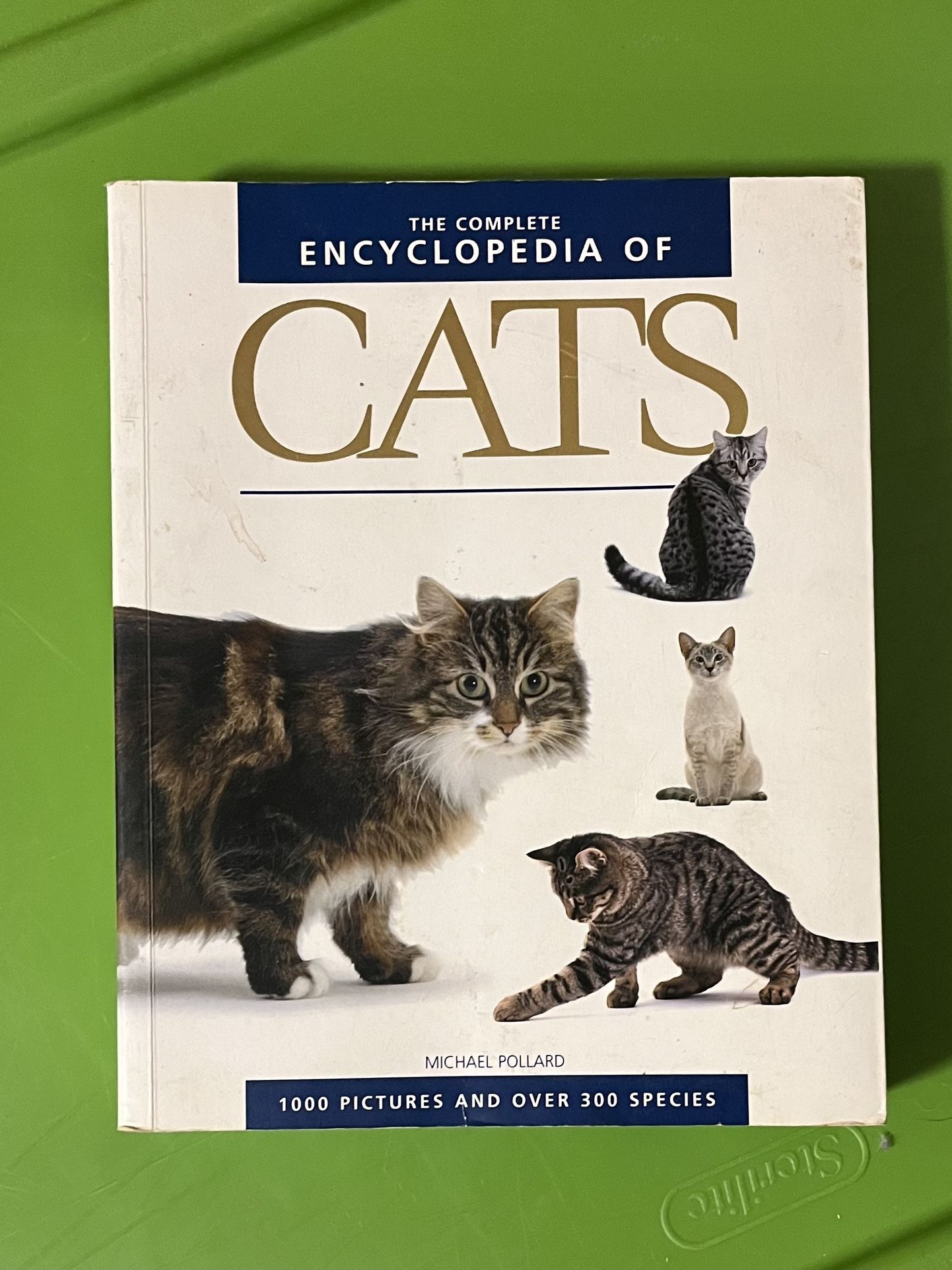 Cat Encyclopedia 