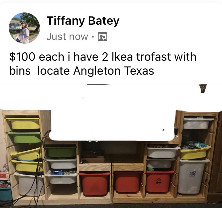 lora trofast with bins $100 each 