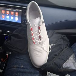 Jordan adg4 white platinum size 14