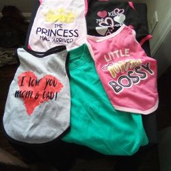 Doggy Shirts 