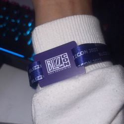 Blizzcon Saturday
