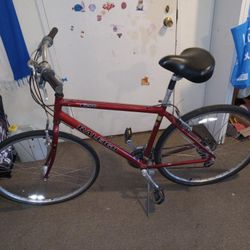 C40 RALEIGH SCHWINN