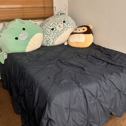 Bed mattress and frame - FREE