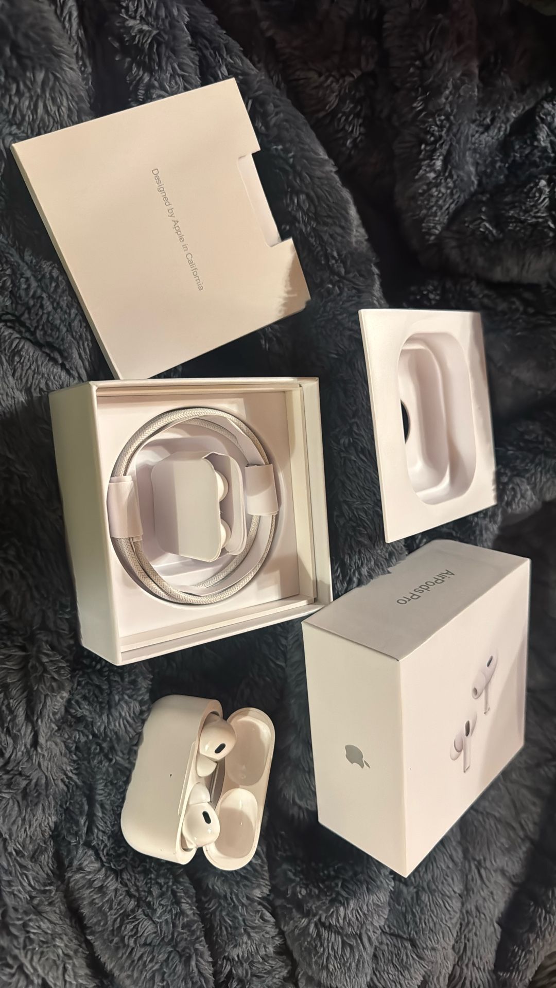 Apple Air Pods Pro USB-C
