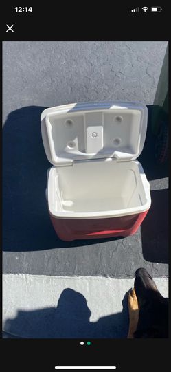 Igloo Cooler