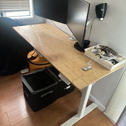 Innovar Standing Desk 55x24