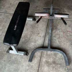 Gym  Equipment 