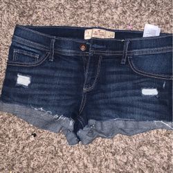 hollister Shorts
