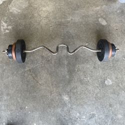 Curl Bar And Weights 