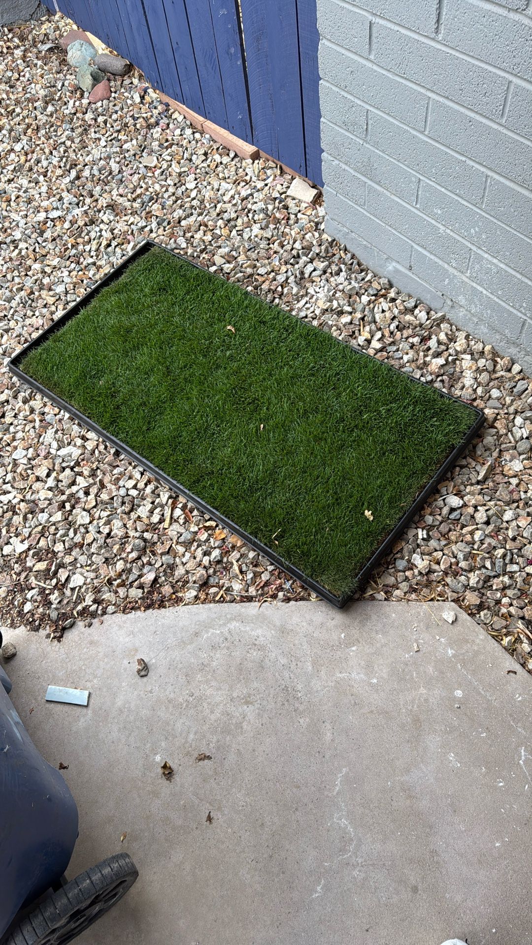 Grass pad With Holder