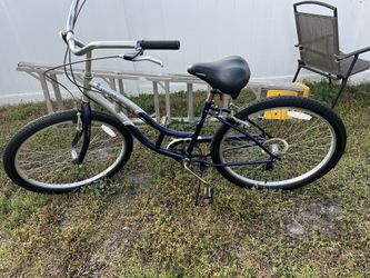 Schwinn Cruiser