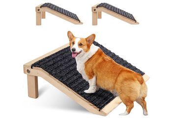Dog Ramp 