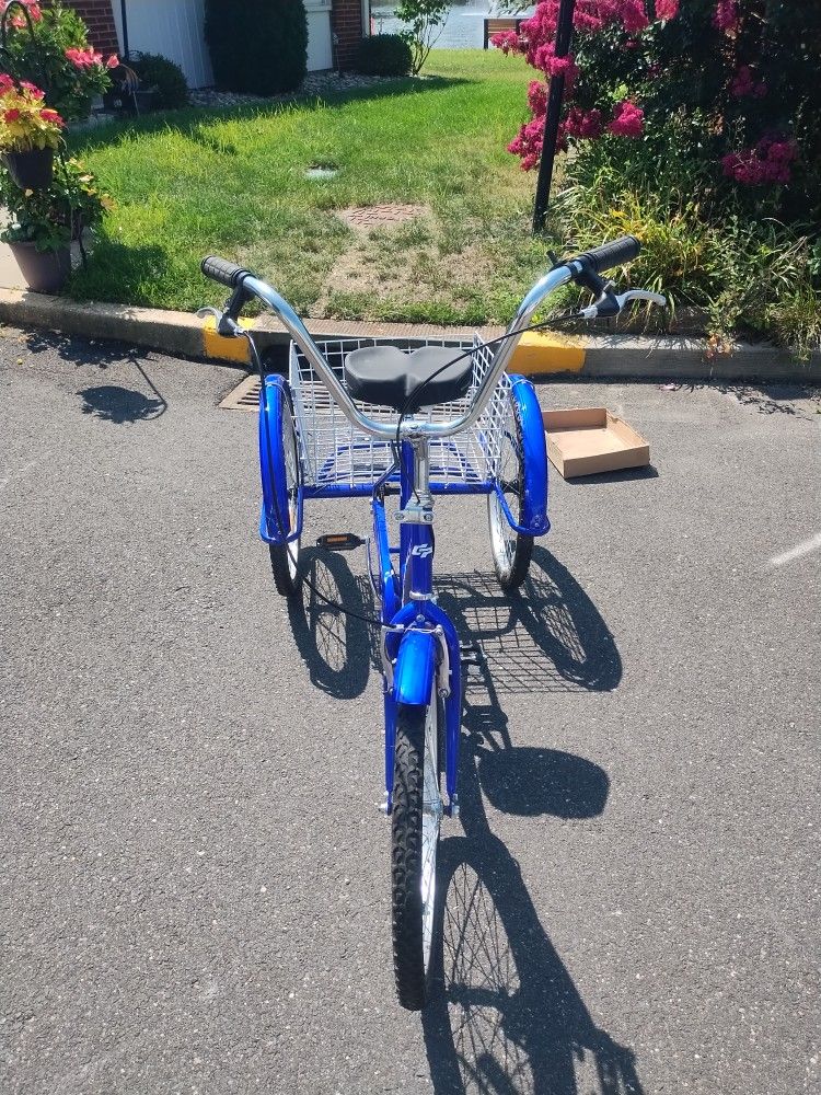 3 Wheel Bike