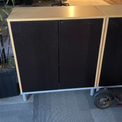 Two Door, Three Shelves Office Cabinet