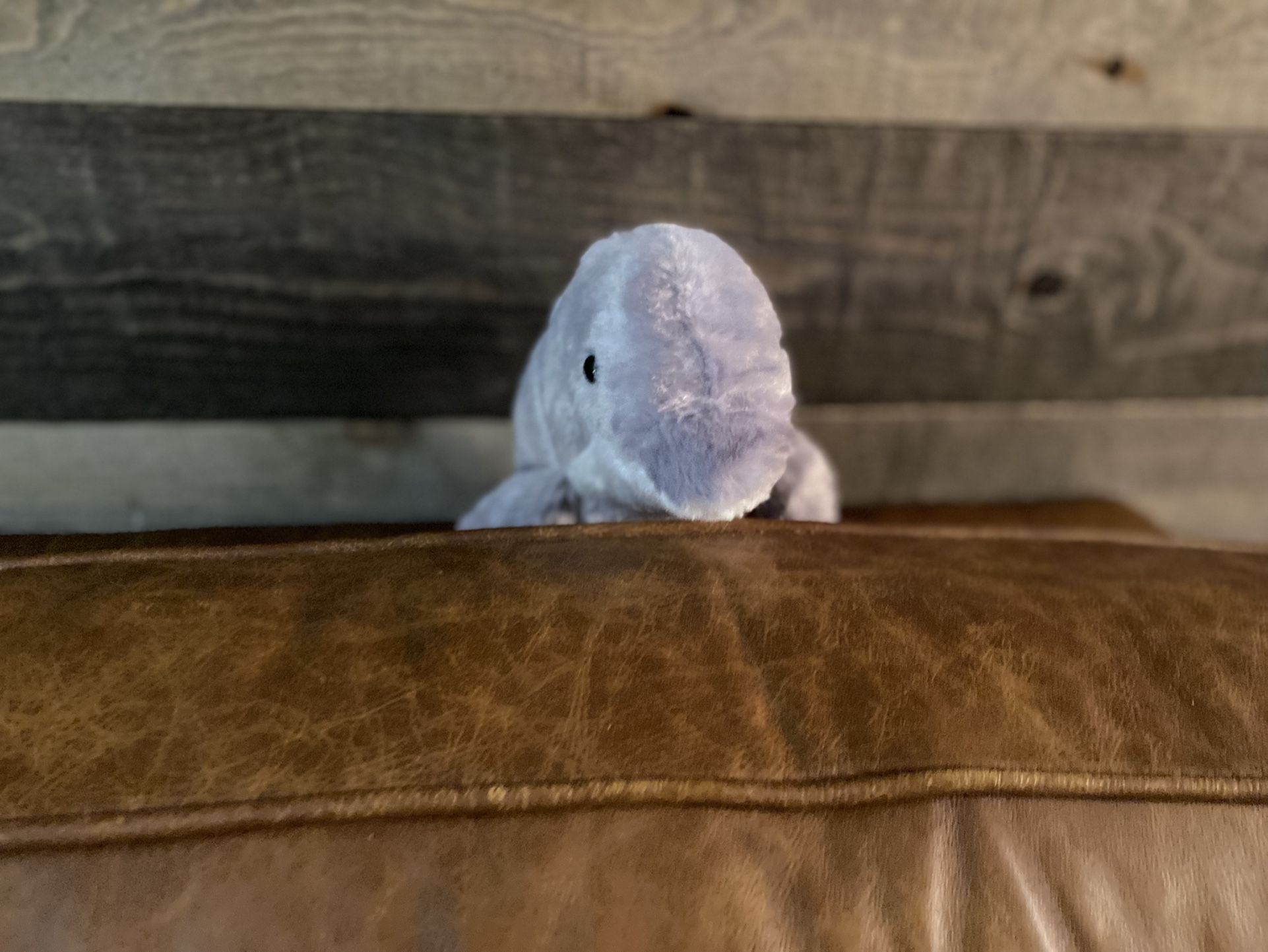 Dolphin Stuffed Animal