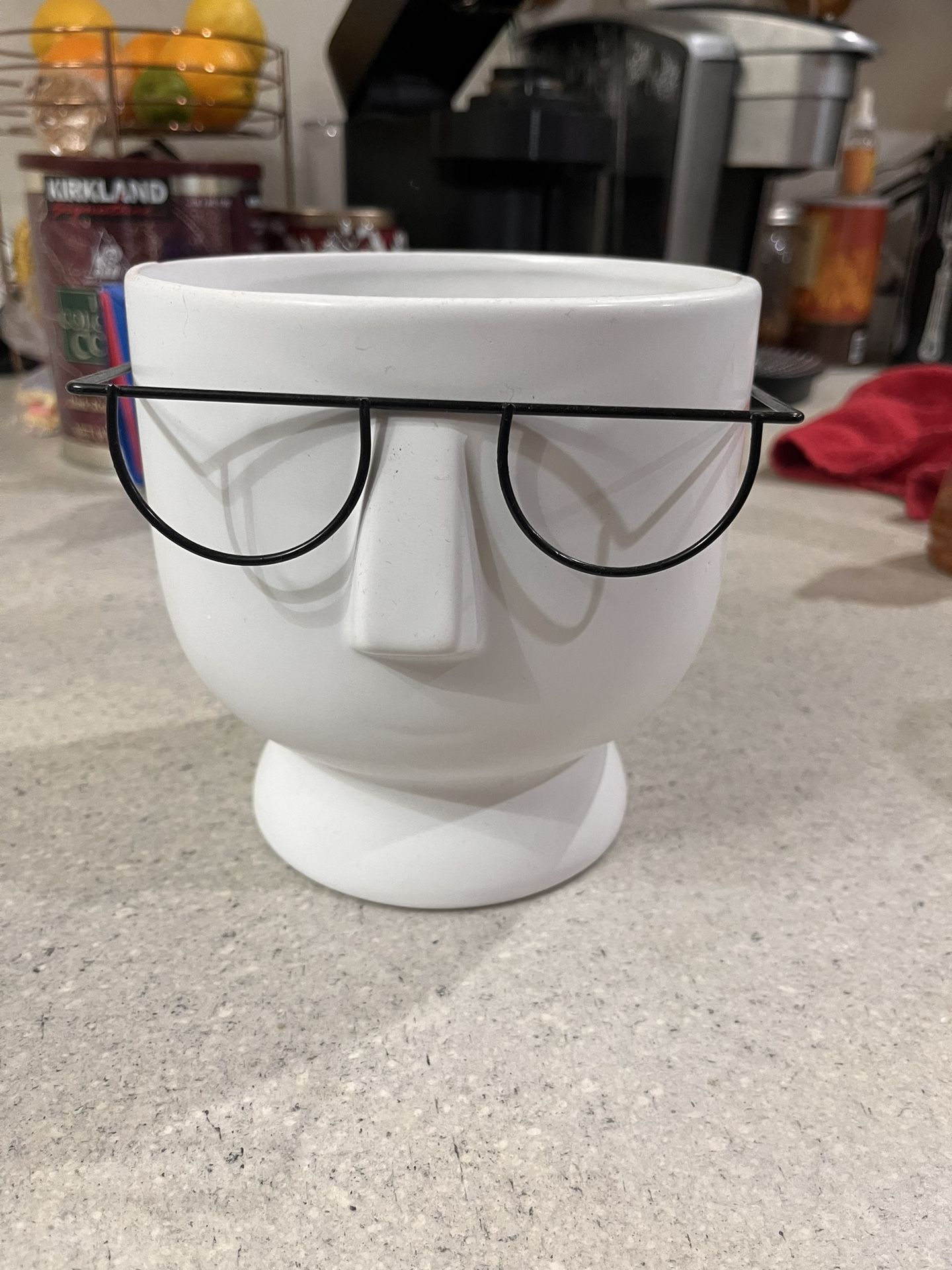 Indoor Plant Pot