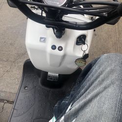 2019 Honda Ruckus