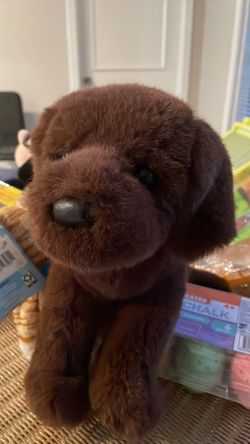 Toy Dog