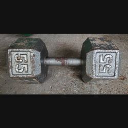 Single 55lbs Dumbbell. 