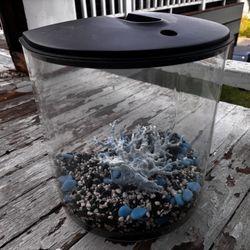 Small Fish Tank And Accessories 