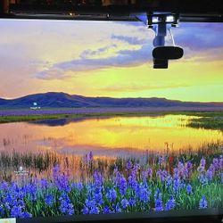 43 Inch 4K UHD Monitor