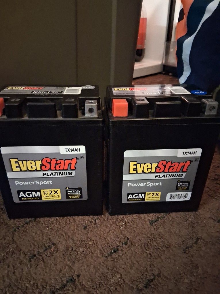 Ever Start TX14AH PLATINUM Batteries