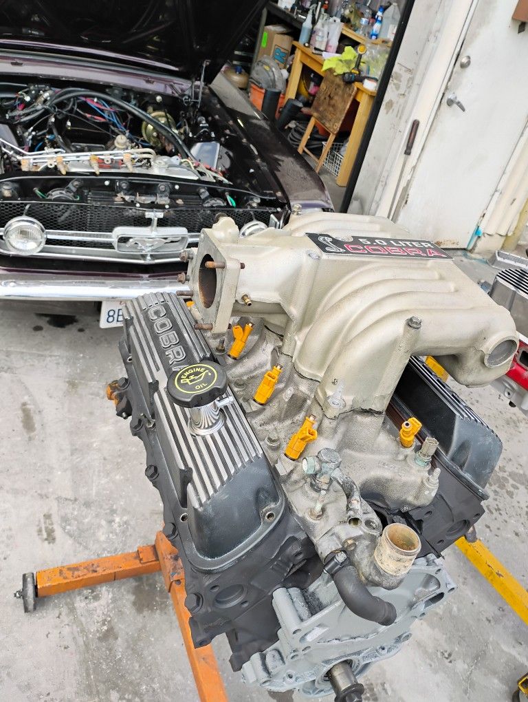 Mustang 5.0 Cobra Clone Motor Gt40