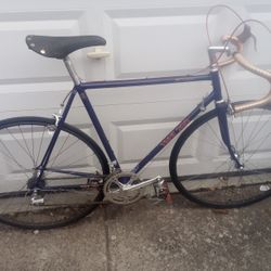 Trek Bike 760 Purple 1984