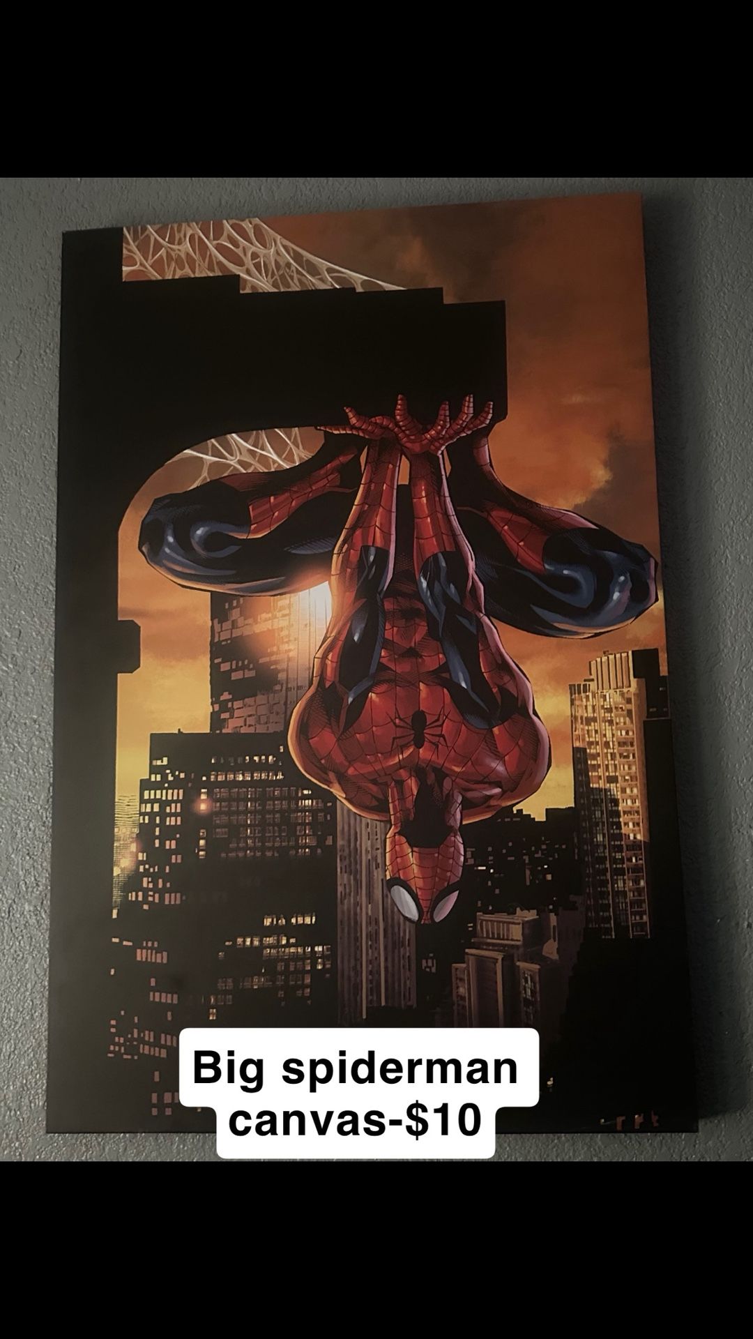 Spiderman Canvas!