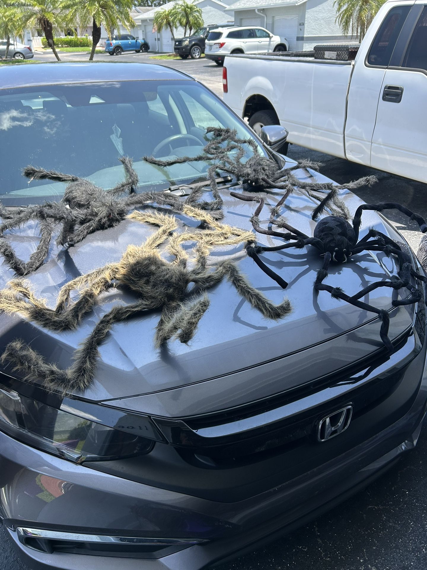 Halloween Hairy Spiders (set Of 4) 3 Feet Each