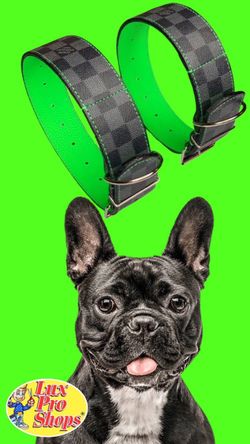 Dog Collars 