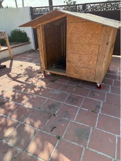 4x4 feet   Dog house