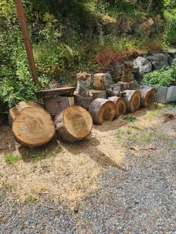 Free firewood