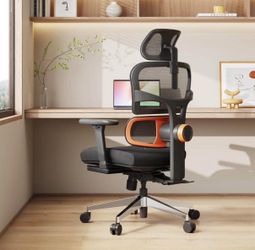 Neutral Ergonomic Office Chair