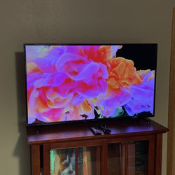 Insignia™ - 43" Class N10 Series LED Full HD Display Monitor TV Still New (2022 Refurb) 
