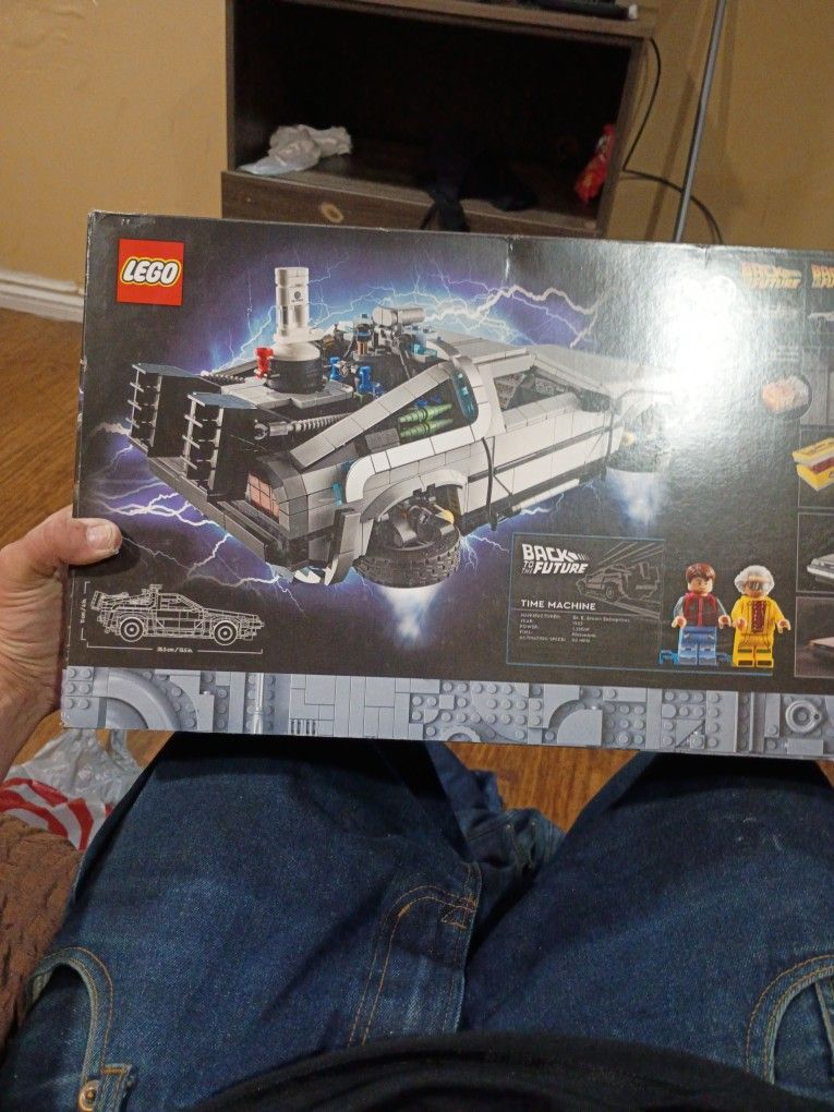 Brand New Back To The Future Lego Set