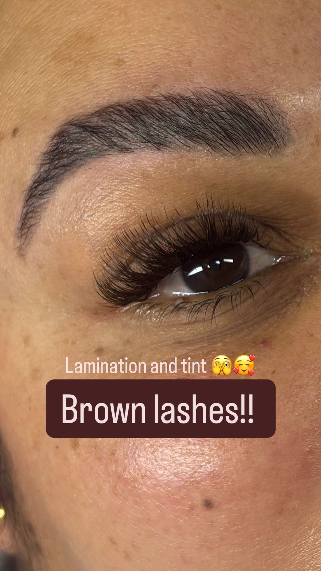 Brown Lashes