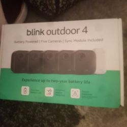 Blink  Canera 