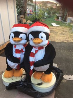 Pingüinos