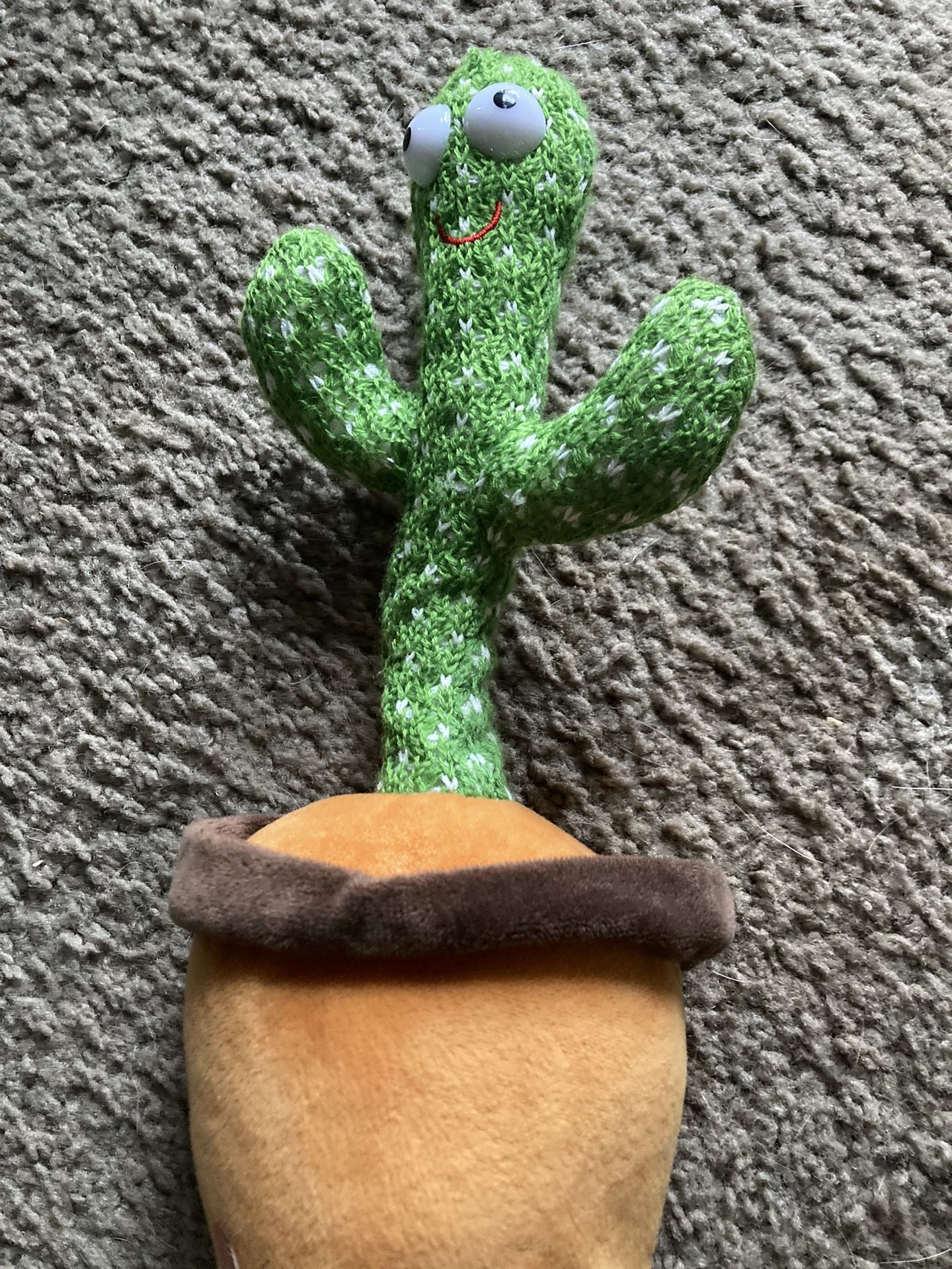 Dancing Cactus