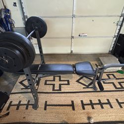 Weight Bench (100 Lbs plates)