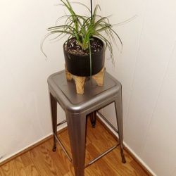 Gray Bar Stool