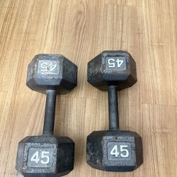 45 Lb Dumbbells 