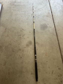 Cabela Salt Striker Fishing Rod