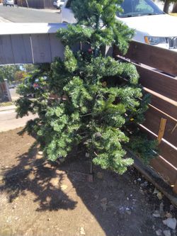 Christmas tree with lights