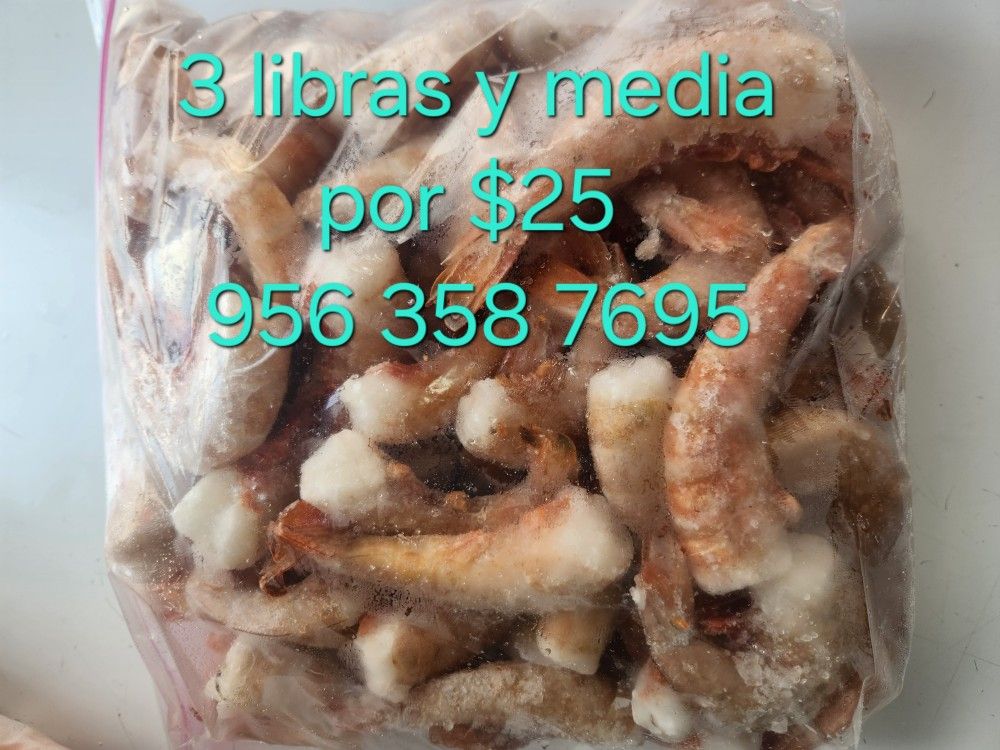 Fresco Crudo Recién Traído Del Puerto