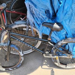 Elite BMX Bike